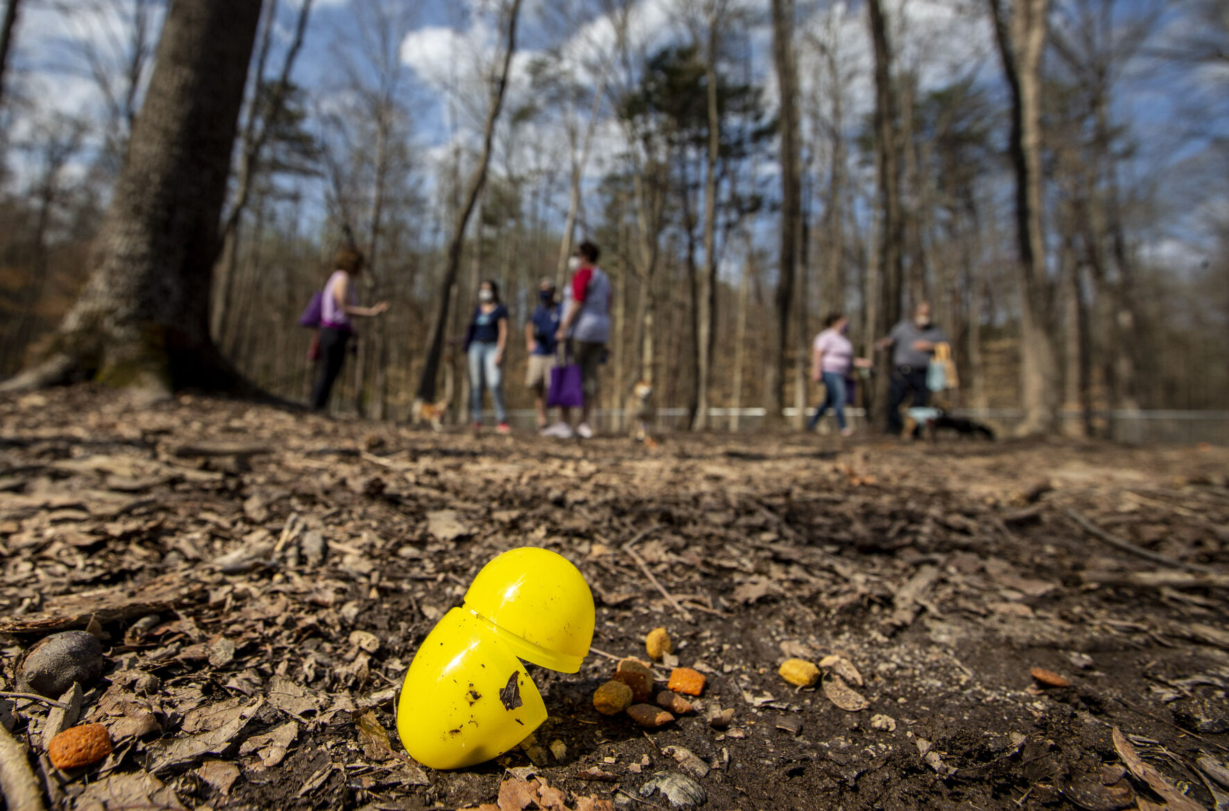 Dog Easter Eggs